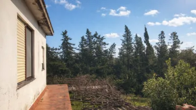 Rustic Finca in Pelagatos - Pago del Humo photo 3