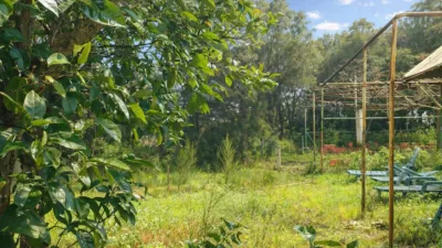 Rustic Finca in Pelagatos - Pago del Humo photo 7