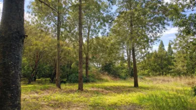 Rustic Finca in Pelagatos - Pago del Humo photo 8
