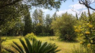 Rustic Finca in Pelagatos - Pago del Humo photo 9
