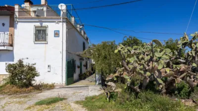 Pis – Armilla - Vista 4