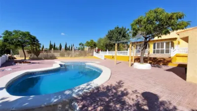 Pis – Elx - Elche - Vista 3