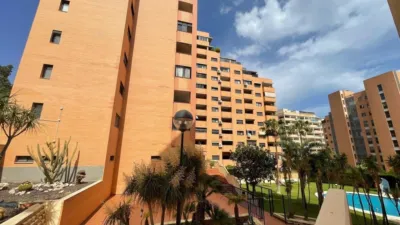 Apartment on Avinguda Mestral photo 10