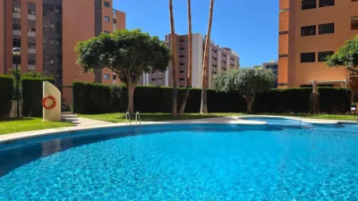 Apartment on Avinguda Mestral photo 13