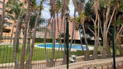 Apartment on Avinguda Mestral photo 14