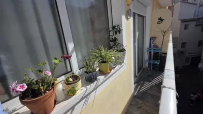 Apartment on Calle Alc D Jaime Ferrer Nomded photo 6