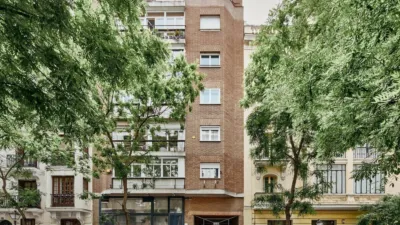 Apartment in Goya photo 33