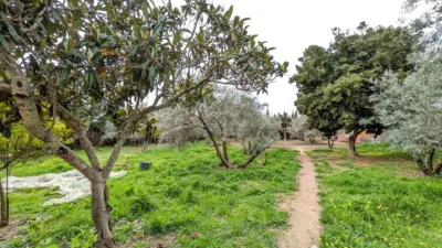 Rustic finca on Llanos de La Encina street photo 27