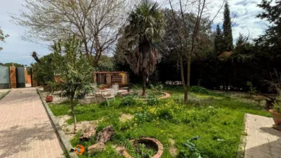 Rustic finca on Llanos de La Encina street photo 29