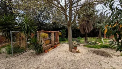 Rustic finca on Llanos de La Encina street photo 30