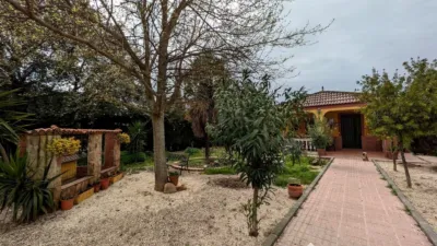 Rustic finca on Llanos de La Encina street photo 31