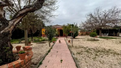 Rustic finca on Llanos de La Encina street photo 33