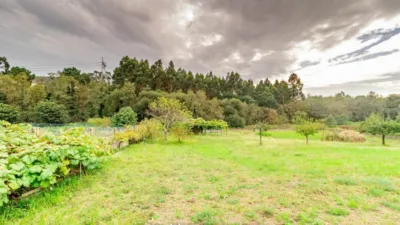 Terreno en venta en * Centro - Más