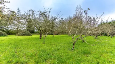Rustic Finca in Agualada photo 3