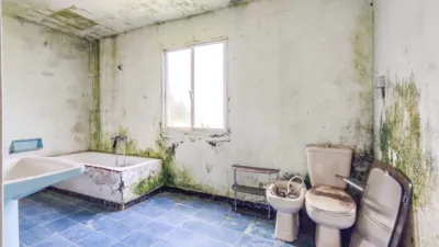 House in Entrecruces photo 21