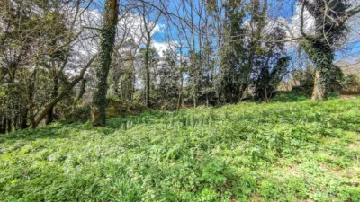 House in Entrecruces photo 32