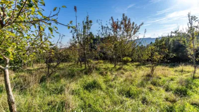 House in Montemaior 1 photo 72