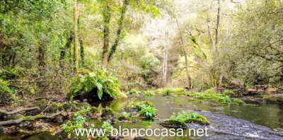 Rustic house in Verdes photo 11