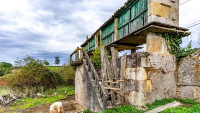 Rustic house in Verdes photo 29