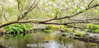 Casa rústica en venta en Verdes - Vista 3