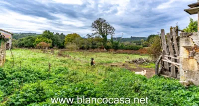 Rustic house in Verdes photo 46