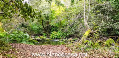 Rustic house in Verdes photo 64