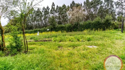 House in Santa Comba photo 30