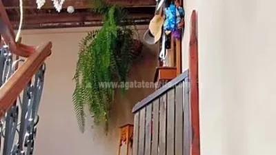 Chalet in Tenerife North photo 25