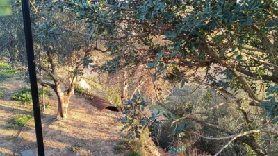 Rustic Finca in Santa Bárbara photo 28