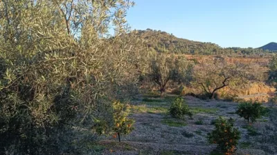 Rustic Finca in Santa Bárbara photo 29