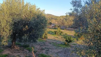 Rustic Finca in Santa Bárbara photo 30