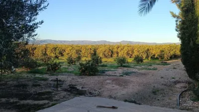 Rustic Finca in Santa Bárbara photo 31
