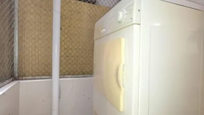 Pis – Elche/Elx, la Tripa, el Baix Vinalopó - Més