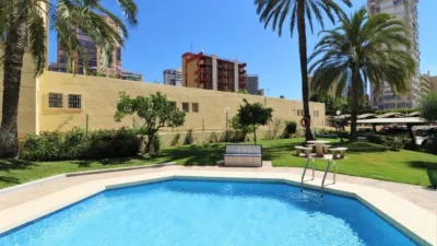 Pis – Benidorm - Vista 3