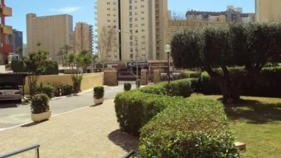 Pis – Benidorm - Vista 4