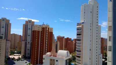 Pis – Benidorm - Vista 2