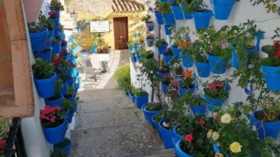 House in Iznájar photo 41