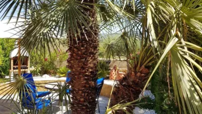 Chalet en Castalla Internacional photo 21