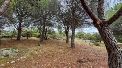 Semi-detached house on Carretera del Berrueco-Cervera photo 12