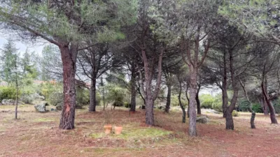 Semi-detached house on Carretera del Berrueco-Cervera photo 35