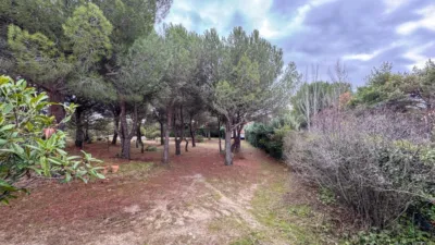 Semi-detached house on Carretera del Berrueco-Cervera photo 36