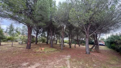 Semi-detached house on Carretera del Berrueco-Cervera photo 37