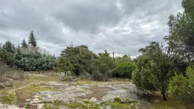 Semi-detached house on Carretera del Berrueco-Cervera photo 39