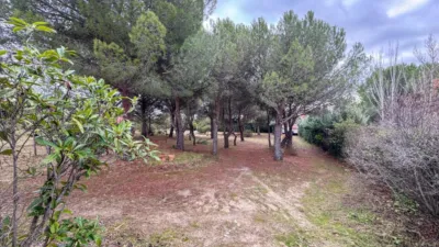Semi-detached house on Carretera del Berrueco-Cervera photo 46