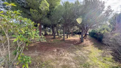 Semi-detached house on Carretera del Berrueco-Cervera photo 50