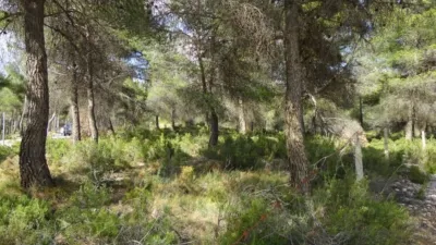 Terreno en venta en Serafines - Vista 3