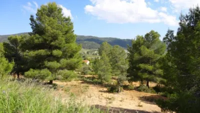 Terreno en venta en Serafines - Vista 5