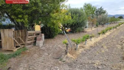 Chalet in Castalla photo 40