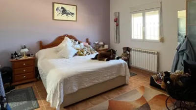 Chalet in Torre del Rico photo 14