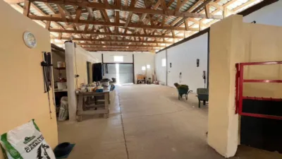 Chalet in Torre del Rico photo 22